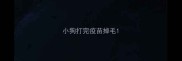 小狗打完疫苗掉毛