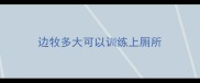 边牧多大可以训练上厕所