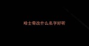 哈士奇改什么名字好听