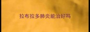 拉布拉多肺炎能治好吗