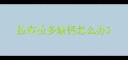 拉布拉多缺钙怎么办