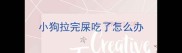 小狗拉完屎吃了怎么办
