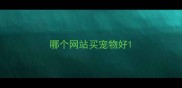 哪个网站买宠物好