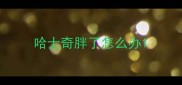 哈士奇胖了怎么办