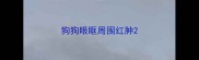 狗狗眼眶周围红肿
