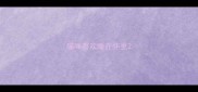 猫咪喜欢睡在怀里