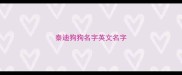 泰迪狗狗名字英文名字