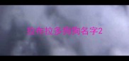 拉布拉多狗狗名字