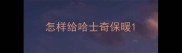 怎样给哈士奇保暖