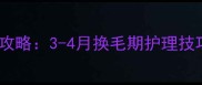 藏獒换毛全攻略3-4月换毛期护理技巧大公开