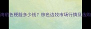 边牧海豹色梗脸多少钱棕色边牧市场行情及选购指南