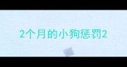 2个月的小狗惩罚