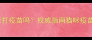 五岁小猫还能打疫苗吗权威指南猫咪疫苗接种全流程