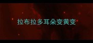 拉布拉多耳朵变黄变