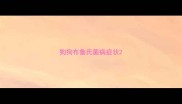 狗狗布鲁氏菌病症状