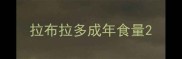 拉布拉多成年食量