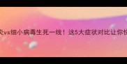 狗狗肠炎vs细小病毒生死一线这5大症状对比让你快速分辨