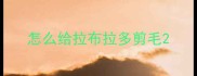怎么给拉布拉多剪毛