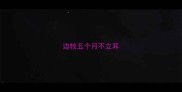 边牧五个月不立耳