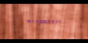 两个月猫粮放多少