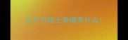 五个月哈士奇喂养什么