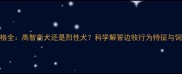 边牧性格全高智商犬还是烈性犬科学解答边牧行为特征与饲养指南