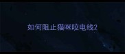 如何阻止猫咪咬电线