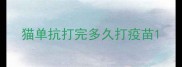 猫单抗打完多久打疫苗