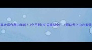 杜高犬适合爬山年龄3个月到1岁关键期全附幼犬上山必备清单
