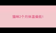 猫咪2个月体温偏低