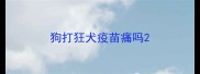 狗打狂犬疫苗痛吗