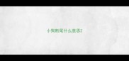 小狗断尾什么意思