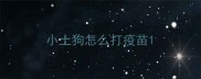 小土狗怎么打疫苗