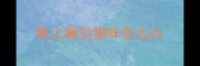 晚上睡觉猫咪怎么办