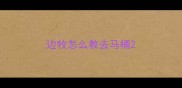 边牧怎么教去马桶