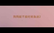 狗狗能不能吃鱿鱼丝