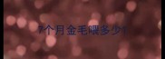 7个月金毛喂多少