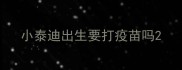 小泰迪出生要打疫苗吗