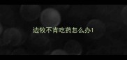 边牧不肯吃药怎么办