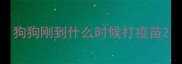 狗狗刚到什么时候打疫苗