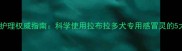 宠物犬感冒护理权威指南科学使用拉布拉多犬专用感冒灵的5大注意事项