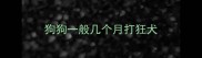 狗狗一般几个月打狂犬