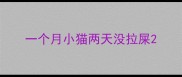 一个月小猫两天没拉屎