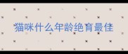猫咪什么年龄绝育最佳