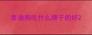 泰迪狗吃什么牌子的好
