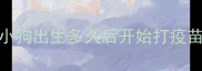 小狗出生多久后开始打疫苗