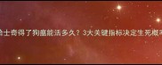 哈士奇得了狗瘟能活多久3大关键指标决定生死概率