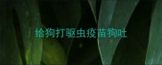 给狗打驱虫疫苗狗吐