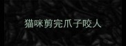 猫咪剪完爪子咬人