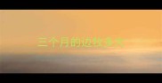 三个月的边牧多大